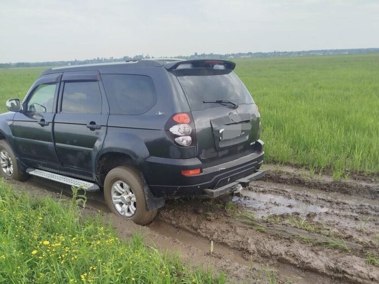 Внедорожная эвакуация автомобиля из глиняной колеи в Виноградово